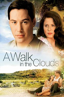 A WALK IN THE CLOUDS (1995) จะขอบูชาหัวใจเธอไว้ที่วิมานเมฆ