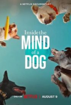 inside-the-mind-of-a-dog-(2024)-อ่านใจสุนัข