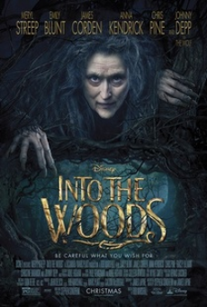 Into the Wood (2014) มหัศจรรย์คำสาปแห่งป่าพิศวง