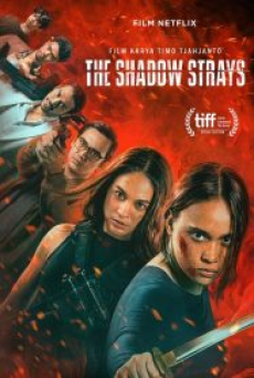 the-shadow-strays-(2024)-นักฆ่าเงาล่าทรชน