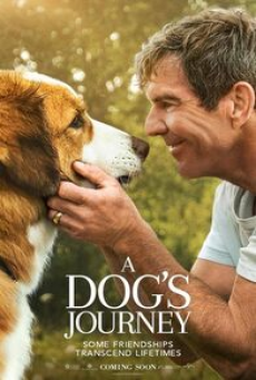 a-dog’s-journey-(2019)-หมา-เป้าหมาย-และเด็กชายของผม-2